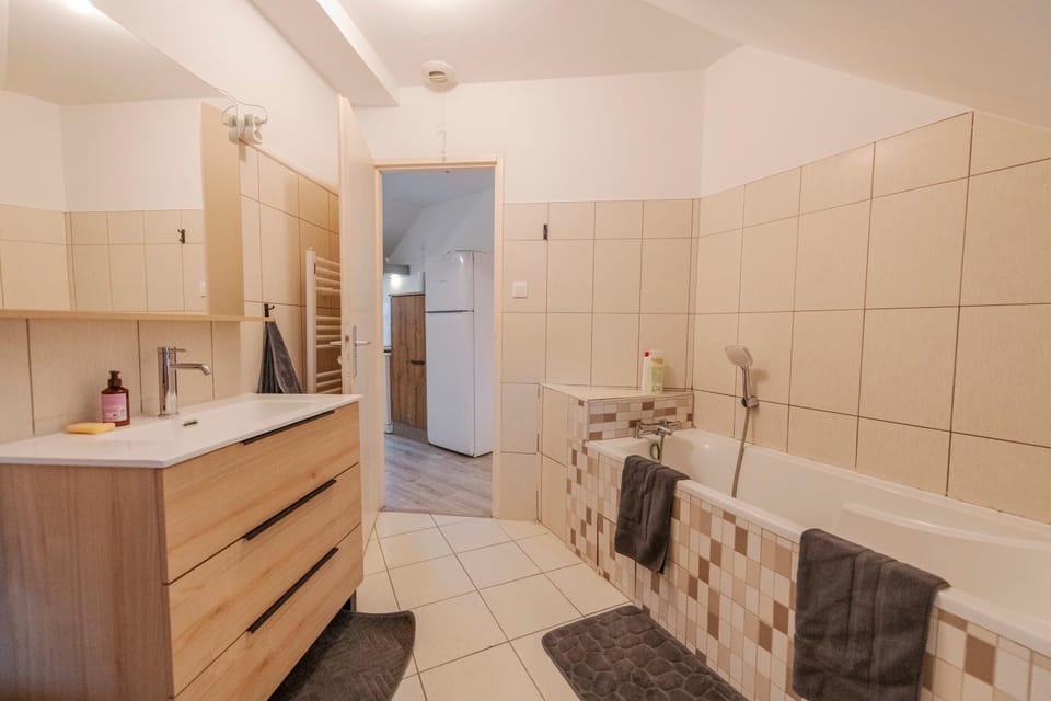 Appartement cosy au cœur de Colmar Apartment in Colmar