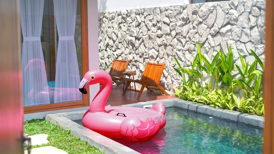 Swimming pool, Swimming pool