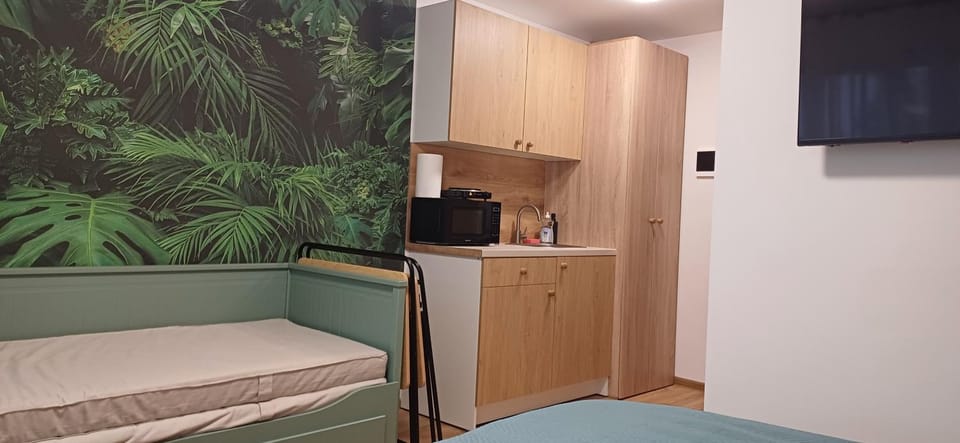 Kitchen or kitchenette, Photo of the whole room, Bedroom