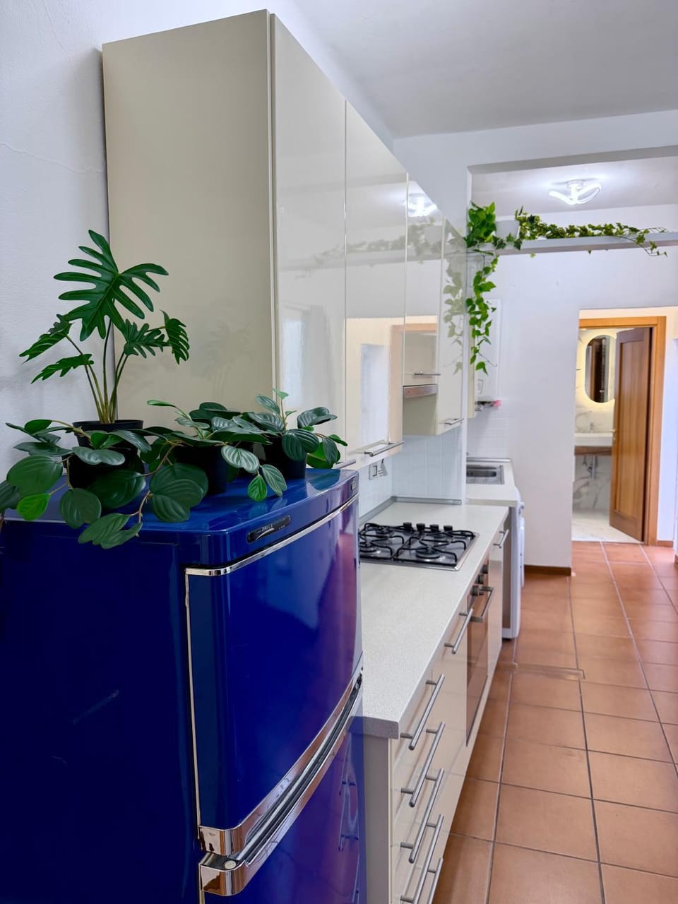 Kitchen or kitchenette, oven, stove