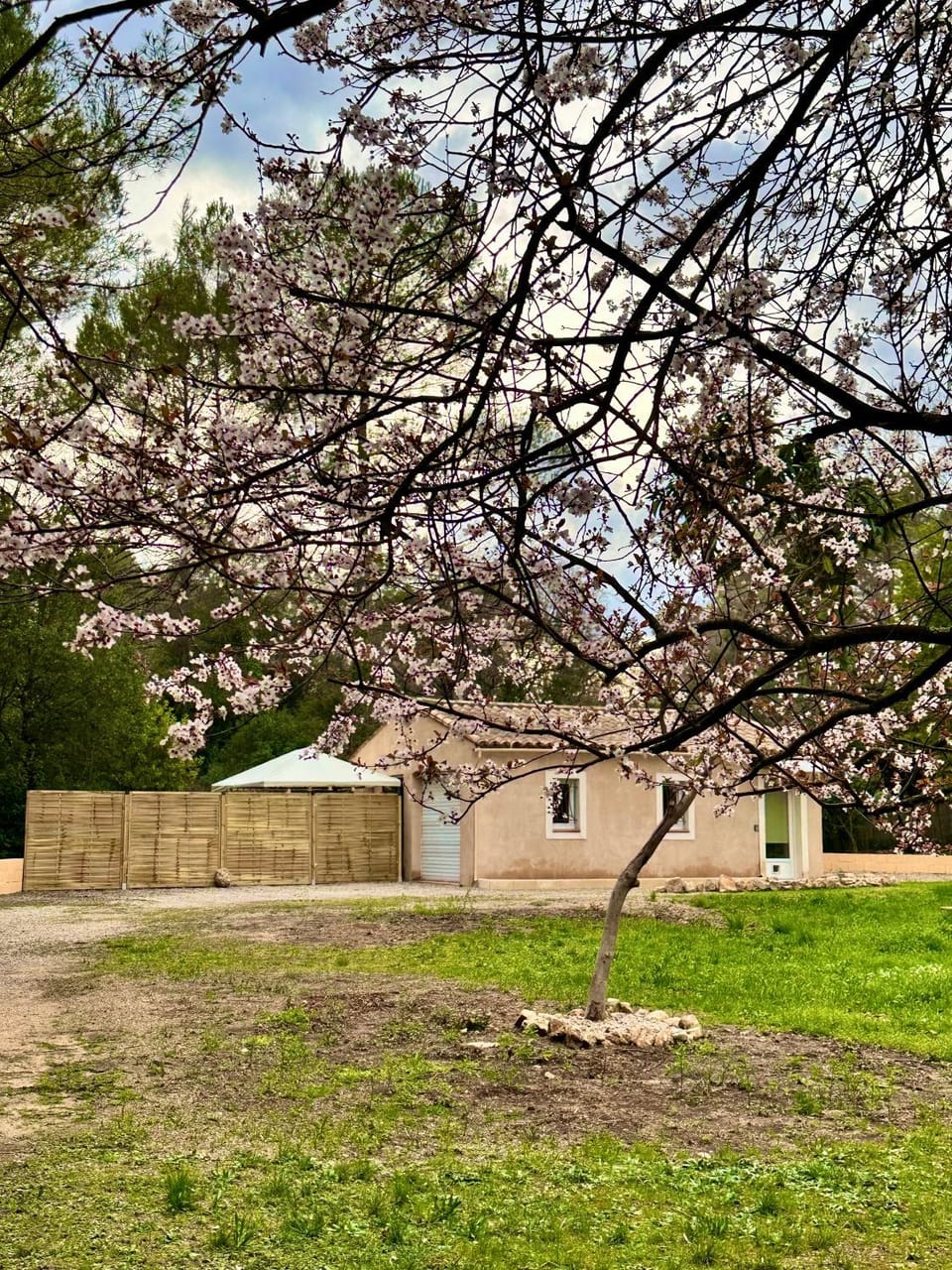 Property building, Spring, Natural landscape, Garden