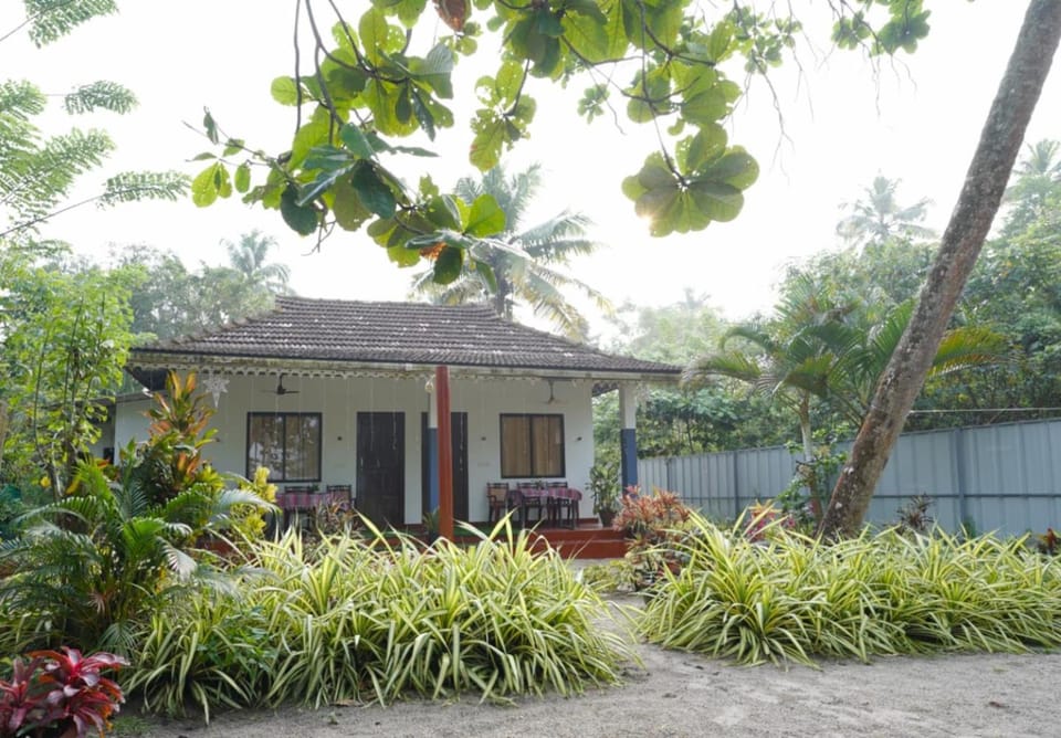 Property building, Day
