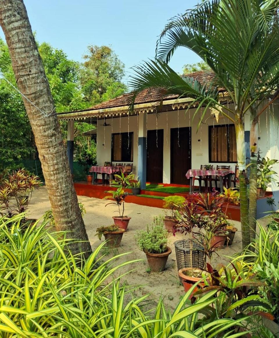 Property building, Day, Garden, Garden view