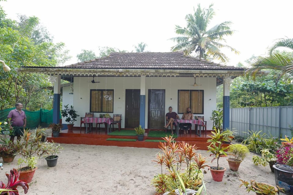 Property building, Day