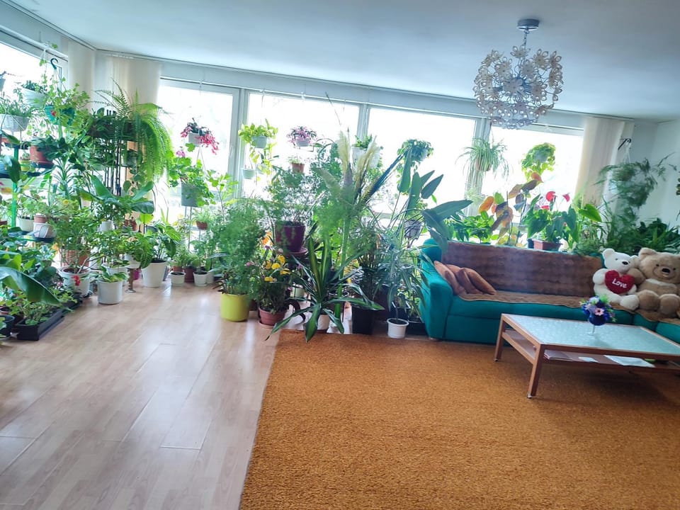Оазис Apartment in Czechia