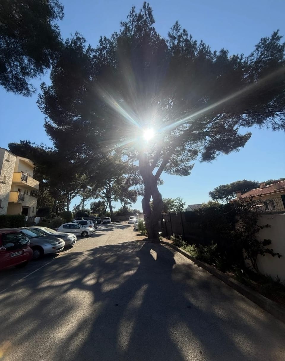 Neighbourhood, Street view, Parking