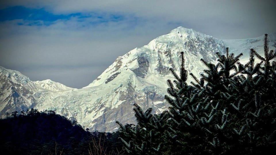 HimalayaNest - All Inclusive Eco and Local Food Chalet in India