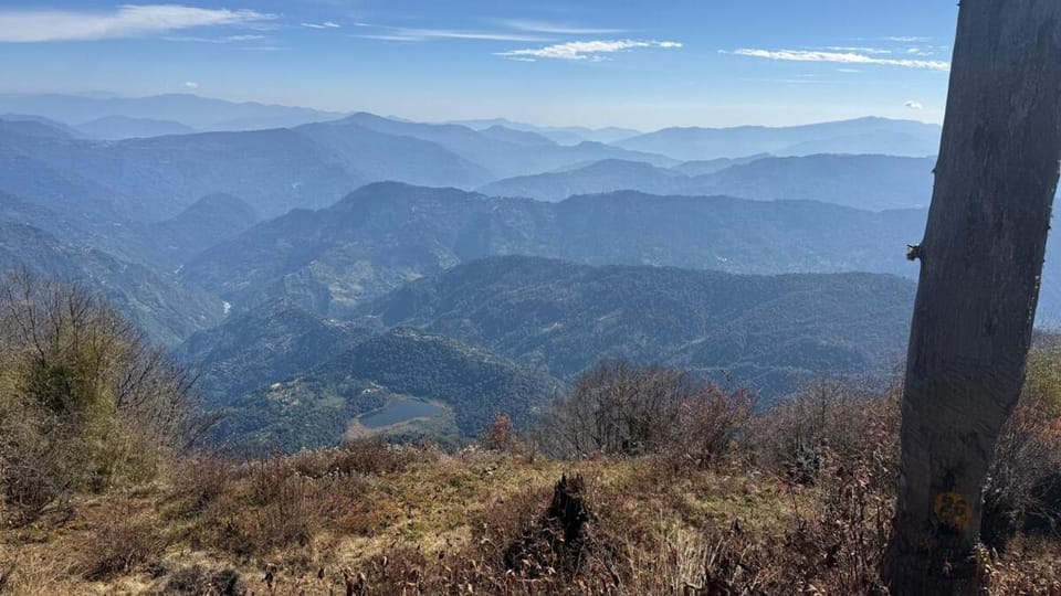 HimalayaNest - All Inclusive Eco and Local Food Chalet in India