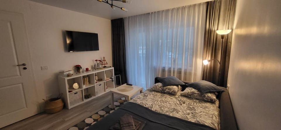 Spania Studio Apartment in Craiova