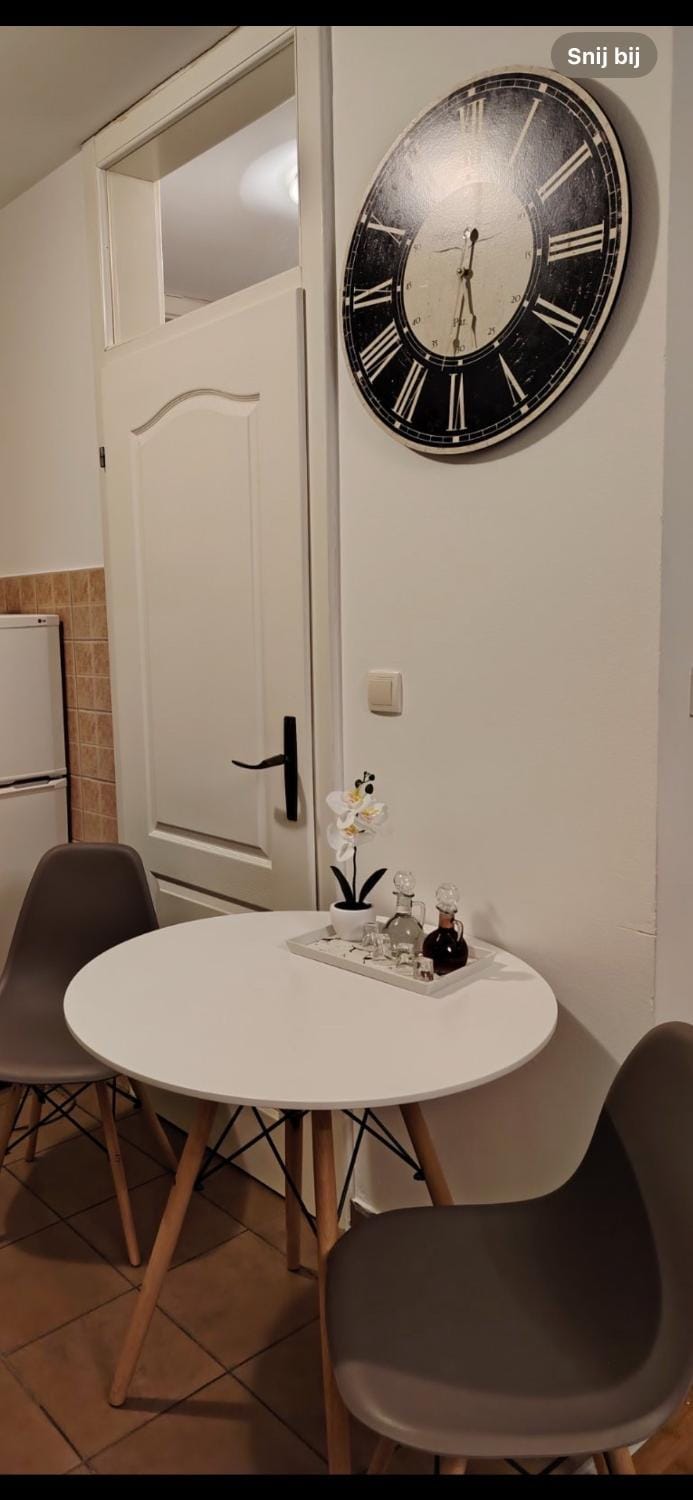 Roza Apartment in Vojvodina