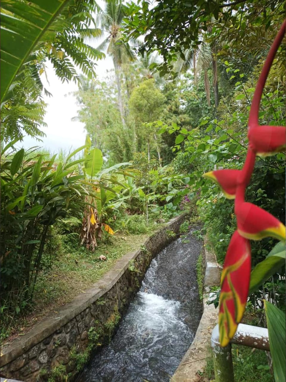 Day, Natural landscape, Garden view