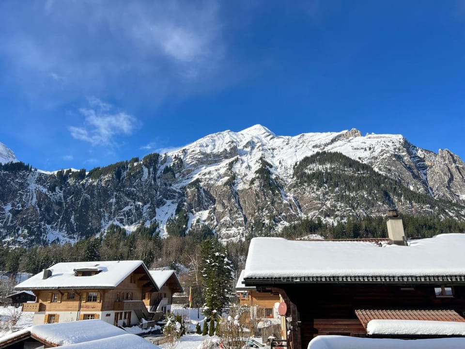 Mountain view