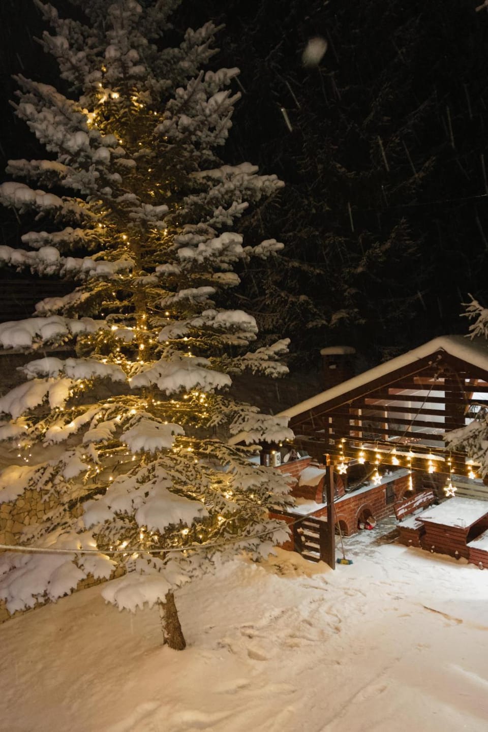 Casa AyA Colibita Nature lodge in Romania