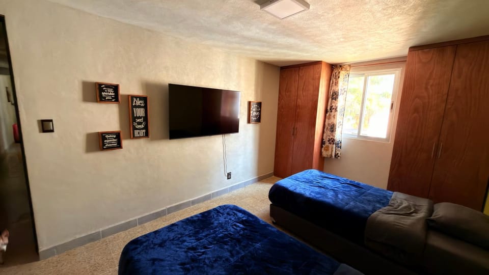 Bed, TV and multimedia, wardrobe
