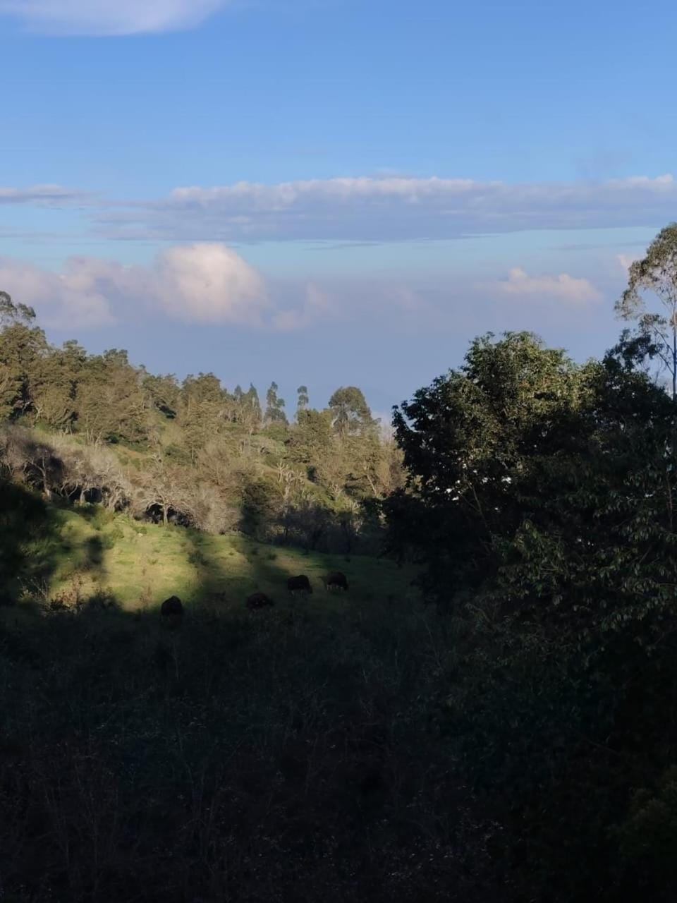 Day, Natural landscape, Mountain view