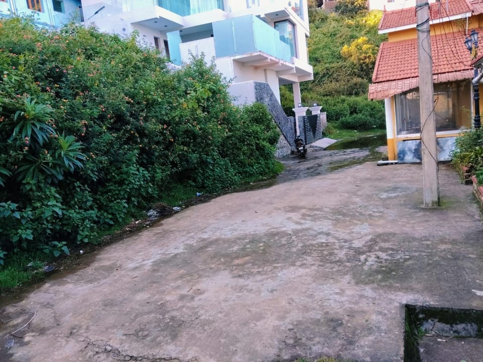 Property building, Day, Neighbourhood, Garden, Street view