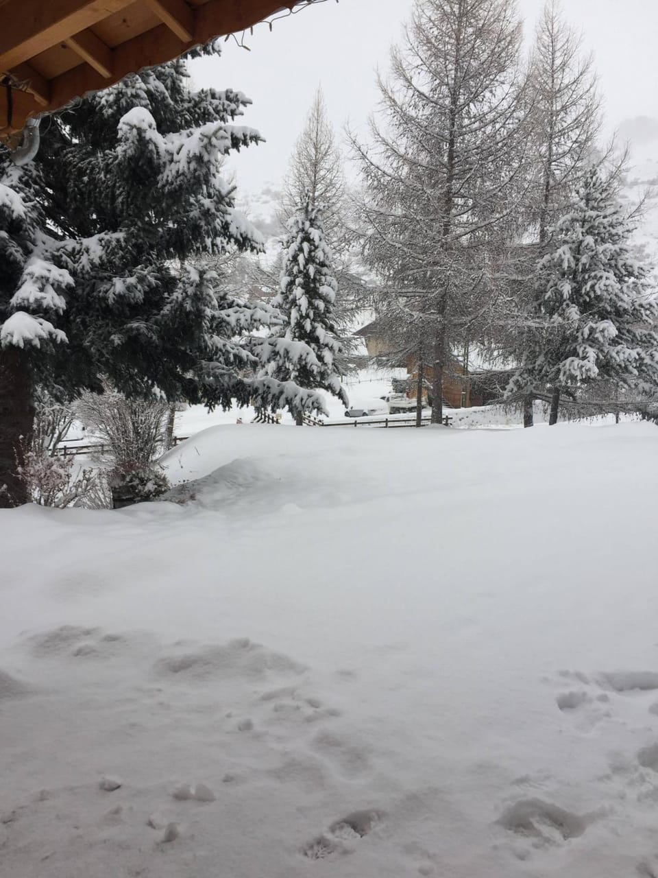 Natural landscape, Winter, Skiing, Skiing, View (from property/room), View (from property/room), Mountain view, Seasons, Parking