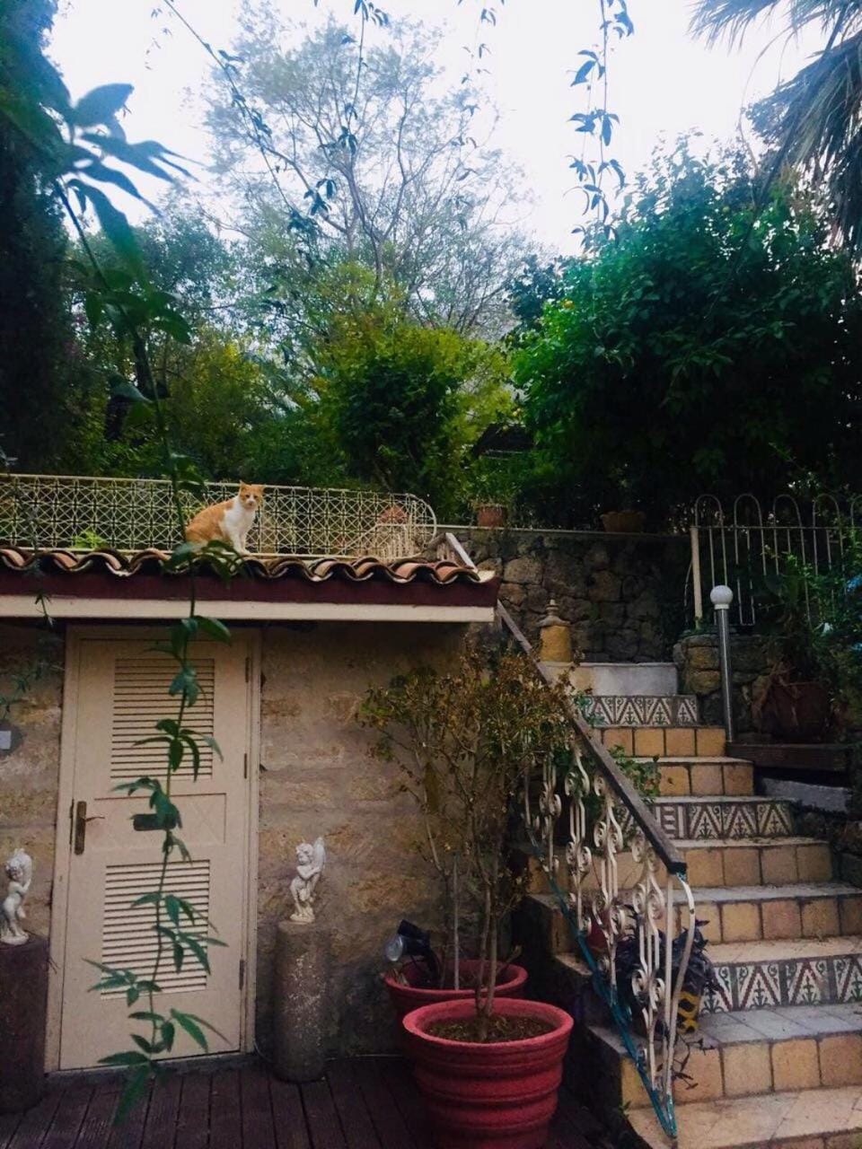 Historic 600 years old beautifully renovated Olive Mill House House in Cyprus