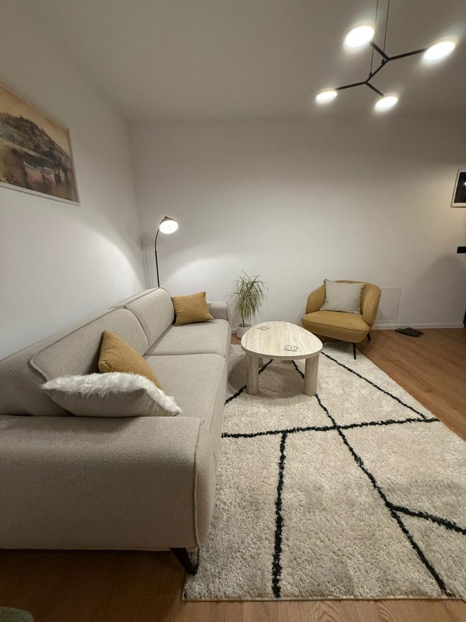 Living room, Photo of the whole room, Seating area