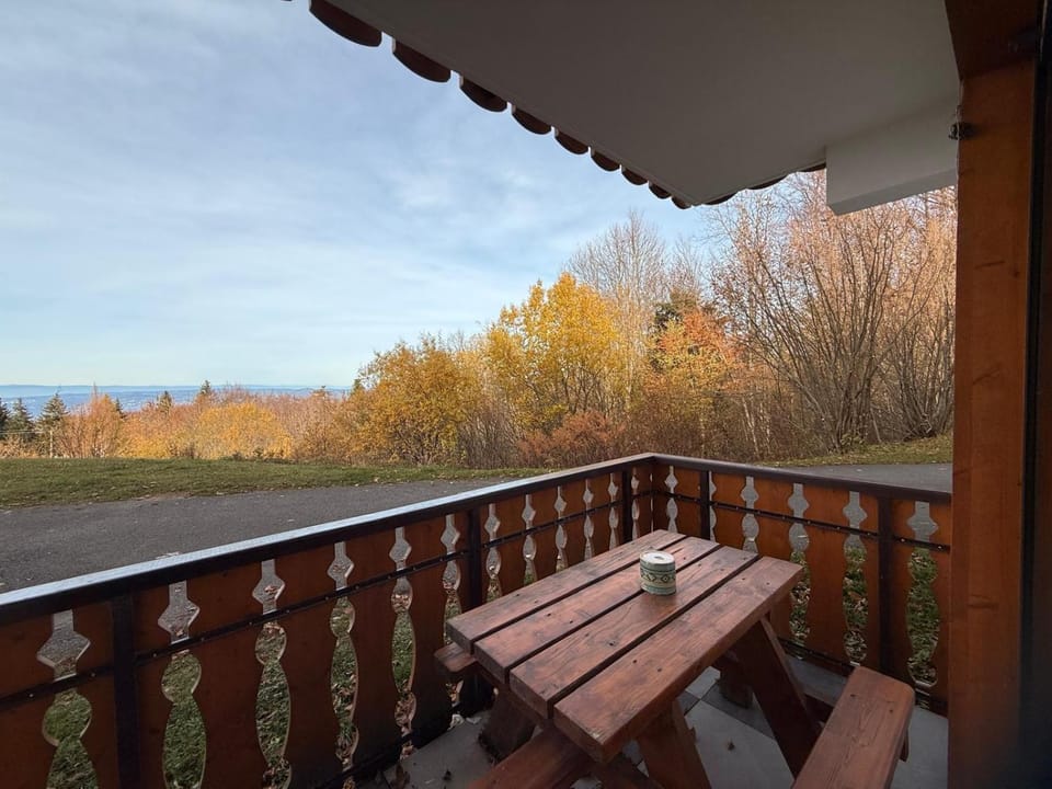 apptT2 station ski familiale Apartment in Haute-Savoie