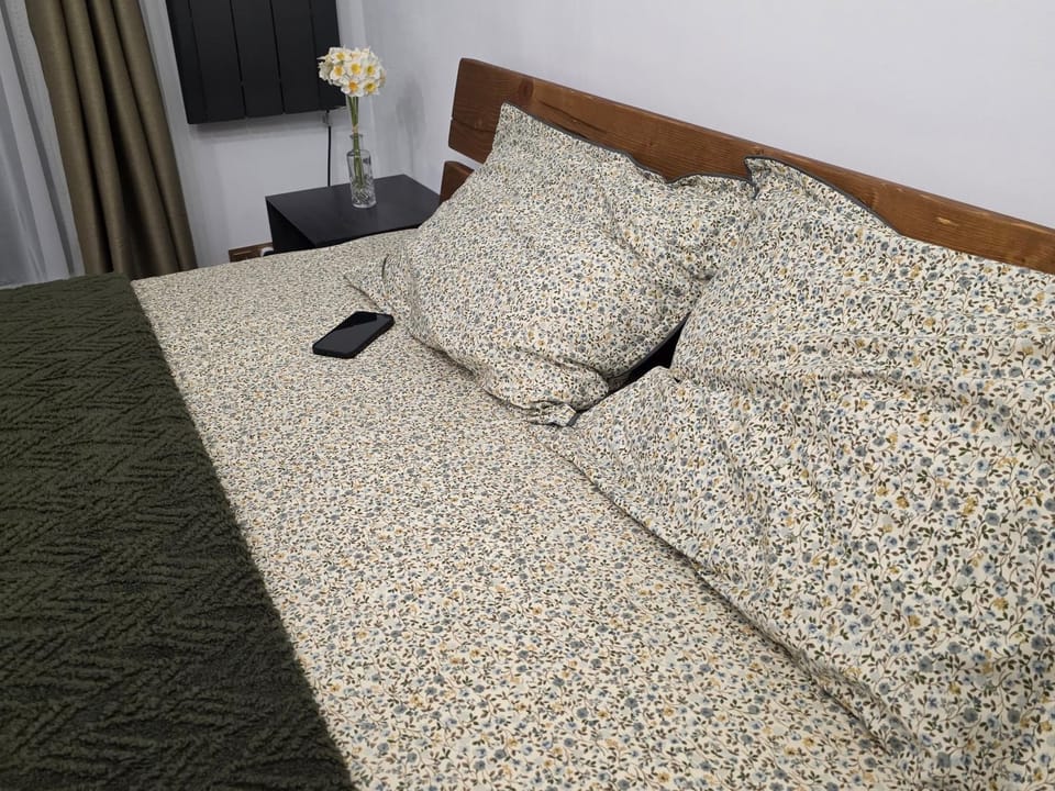 Olive Ultracentral Craiova Apartment in Craiova