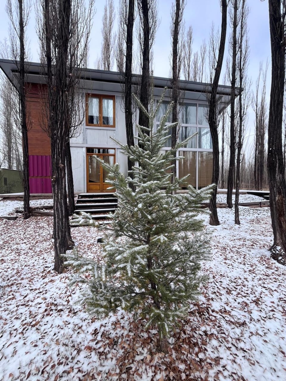 Property building