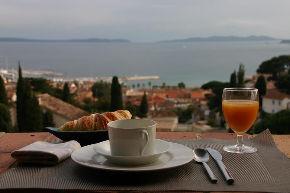 Villa Les Dauphins Bed and Breakfast in Le Lavandou