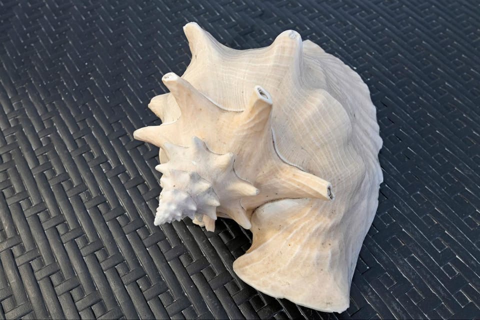 Lisettarooms Apartment in Vernazza