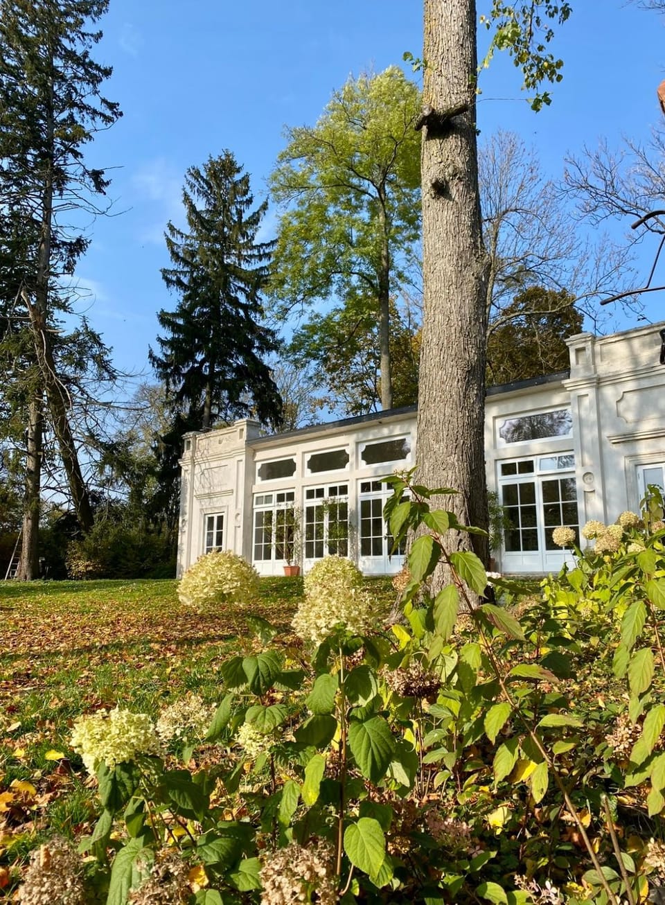 Stara Oranżeria Huszlew Dwór Villa in Masovian Voivodeship