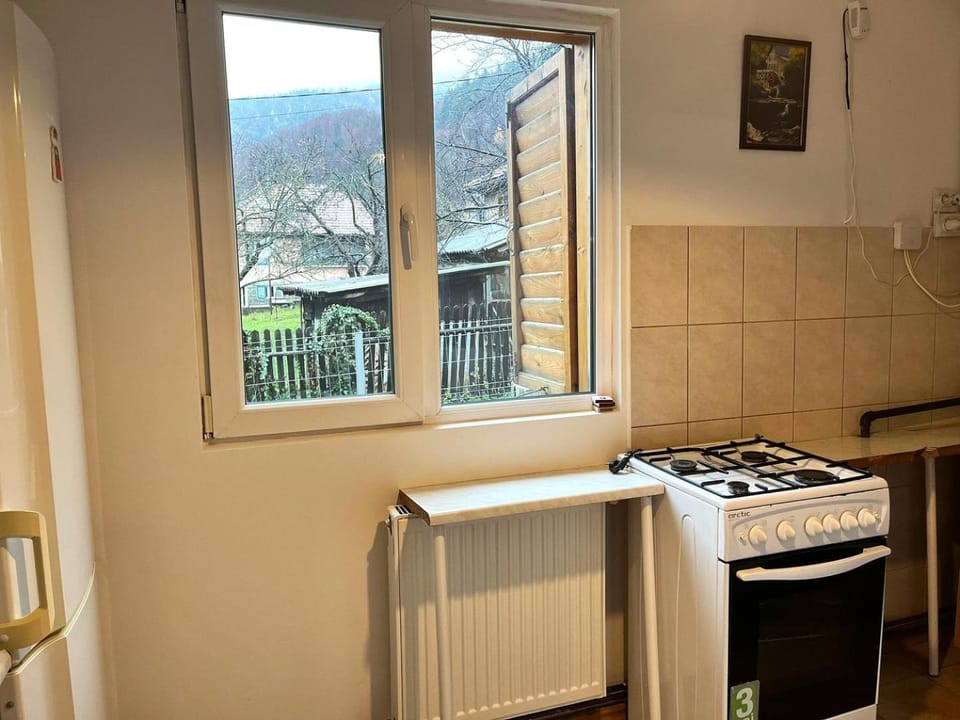 Natural landscape, Coffee/tea facilities, Kitchen or kitchenette, Mountain view, oven, stove