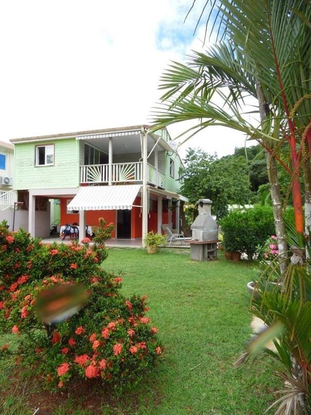 Property building, Garden, Garden, Garden view
