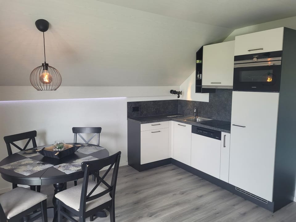 Kitchen or kitchenette, Dining area, oven, stove