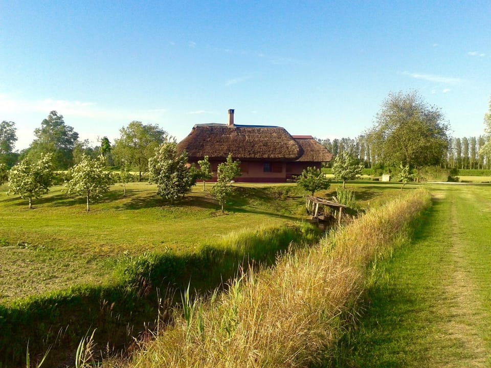 Natural landscape, Garden