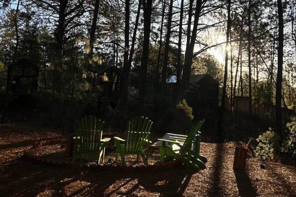 Inner courtyard view