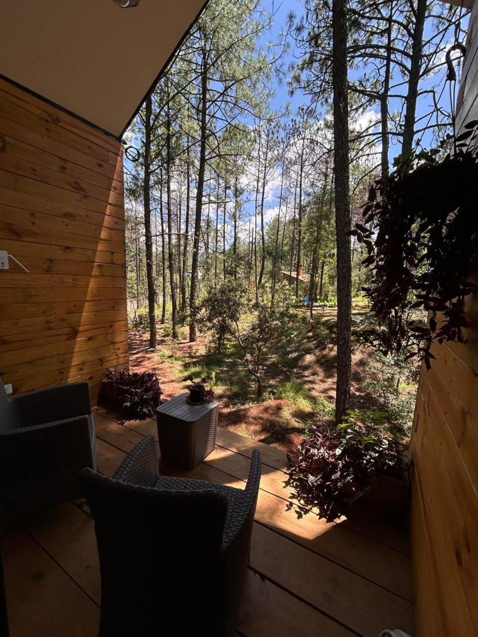 View (from property/room)