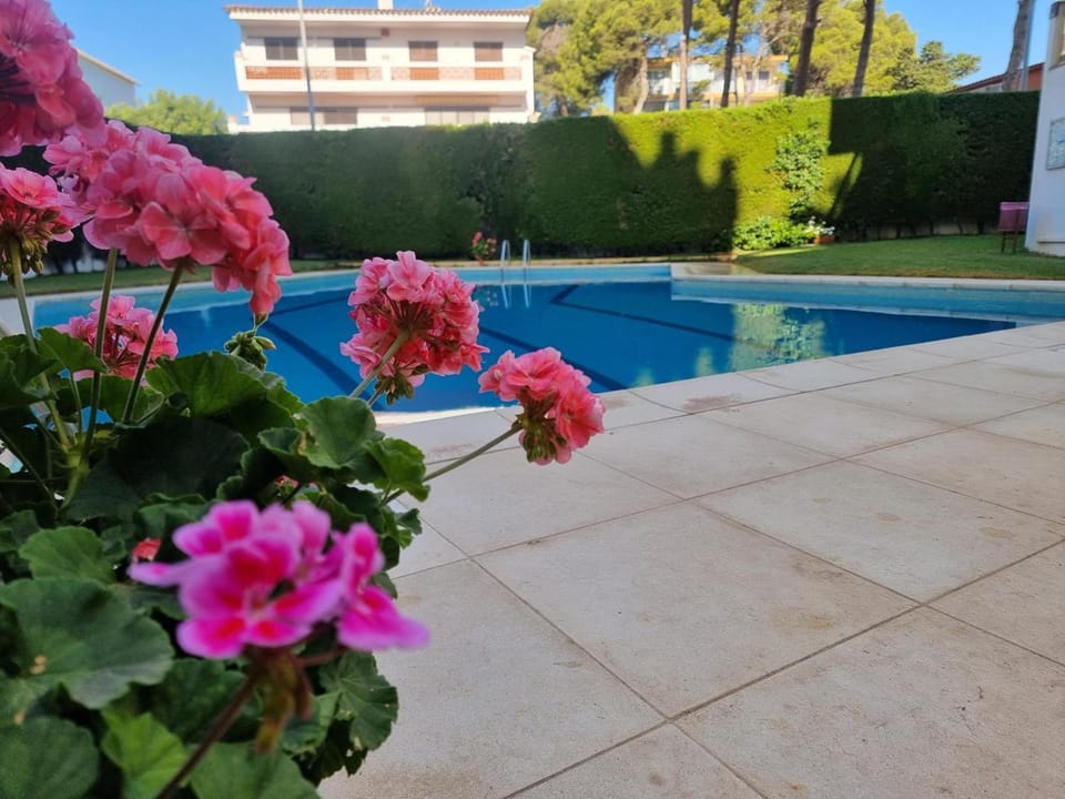 Apartamento cómodo con terraza a 200 m de la playa - HISP-236-176 Apartment in L'Escala