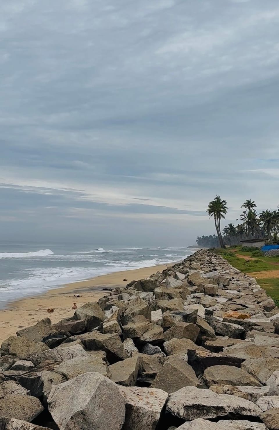 SurfN Tides by BHoomiKA House in Kerala