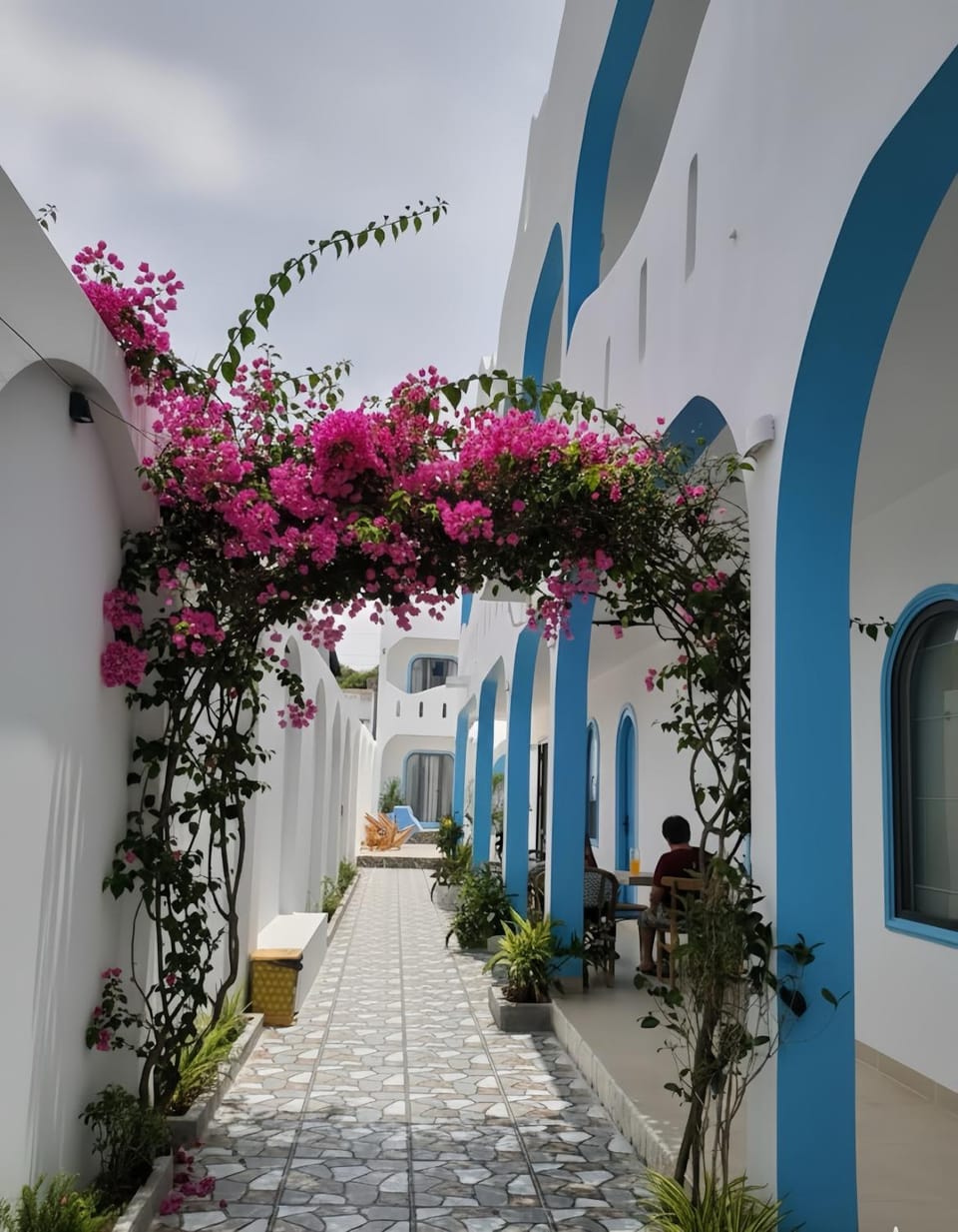 Property building, Spring, Day, Garden, Garden view