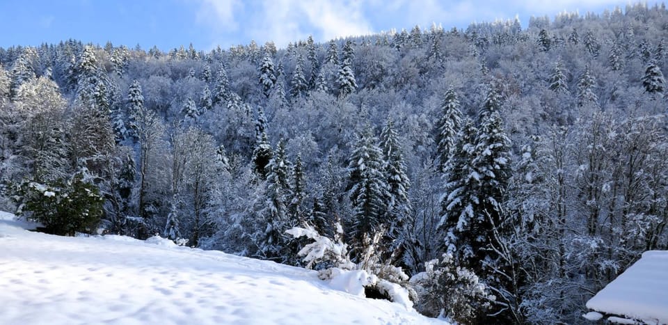Natural landscape, Winter, Mountain view
