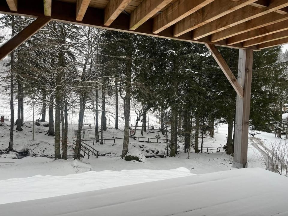 Chalet sur les pistes du Lioran, 8pers Apartment in Auvergne-Rhône-Alpes