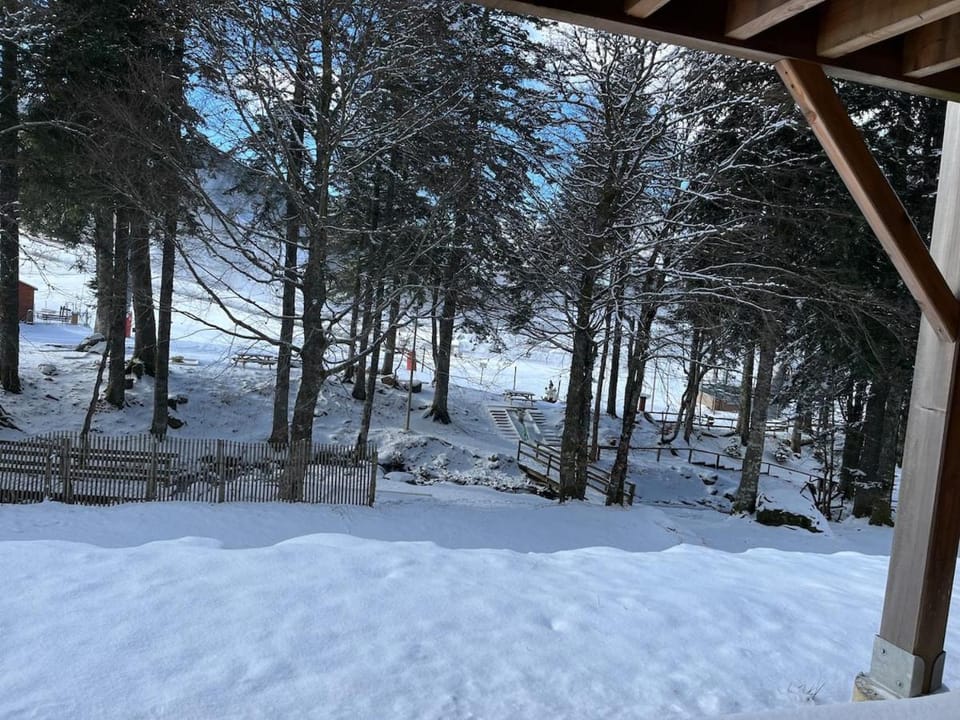 Chalet sur les pistes du Lioran, 8pers Apartment in Auvergne-Rhône-Alpes