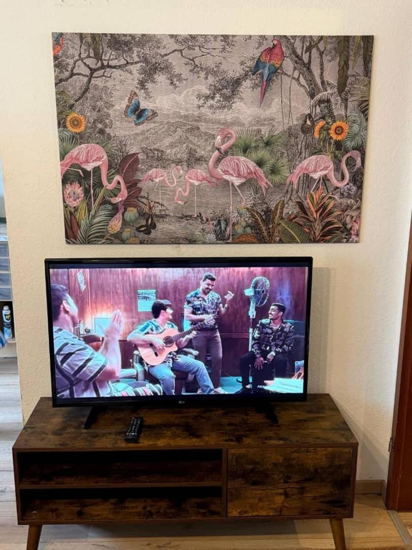 TV and multimedia