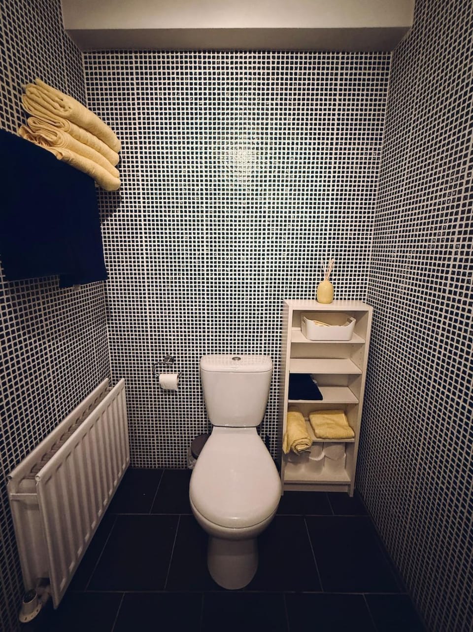 Toilet, Bathroom, towels