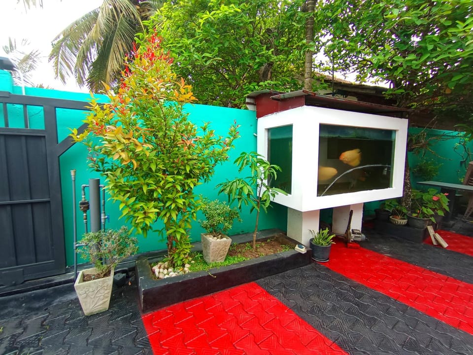 Tharusha Homestay Mirissa Bed and Breakfast in Mirissa