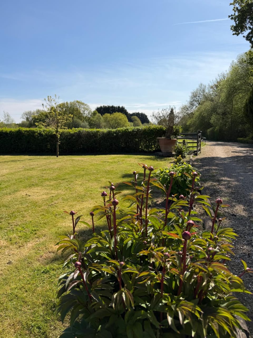 Couples Spring Break With Alpacas & Private Hot Tub in the Quaint Dorset Countryside with BBQ House in East Dorset District