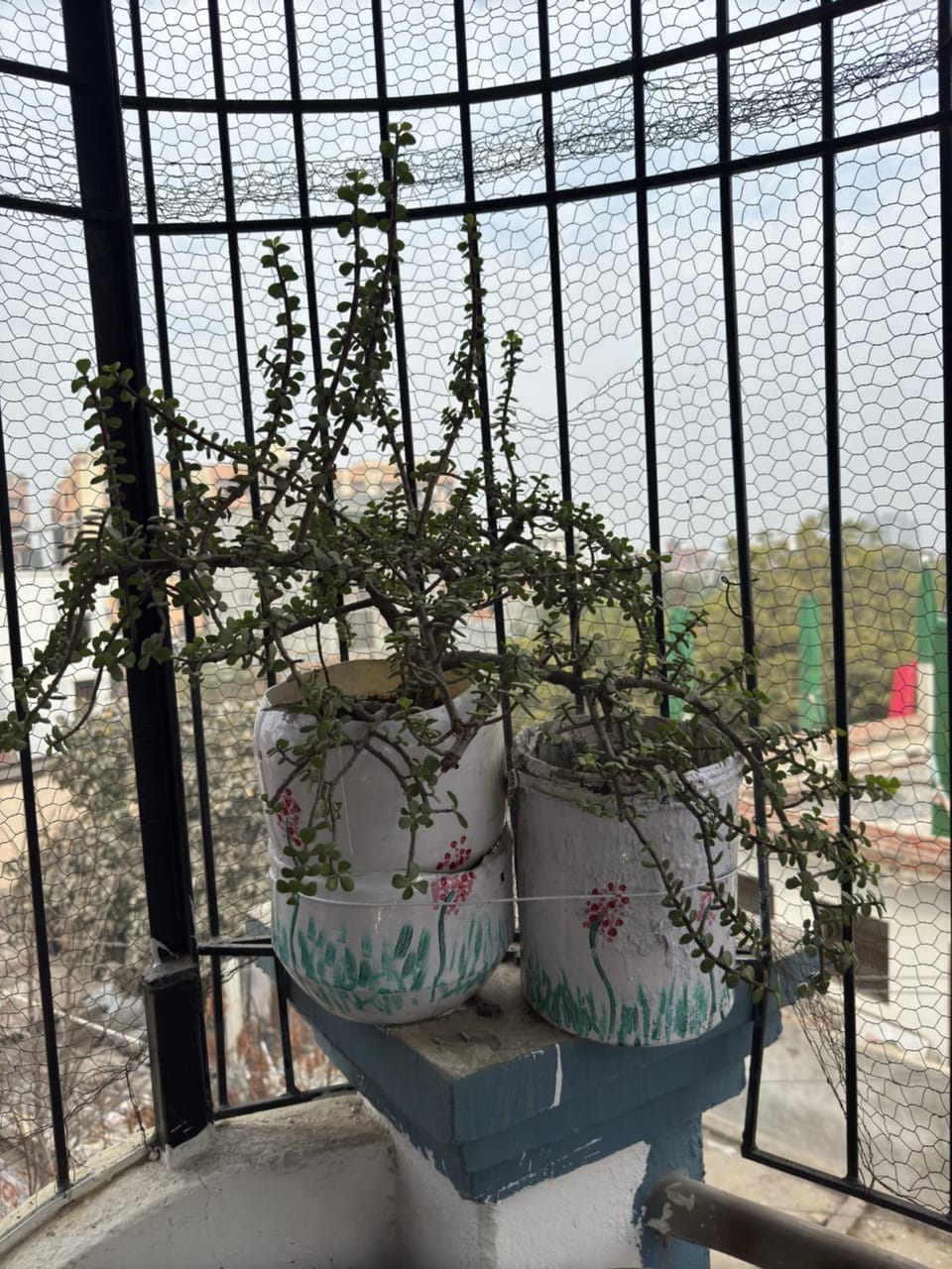 Garden, Balcony/Terrace, Garden view