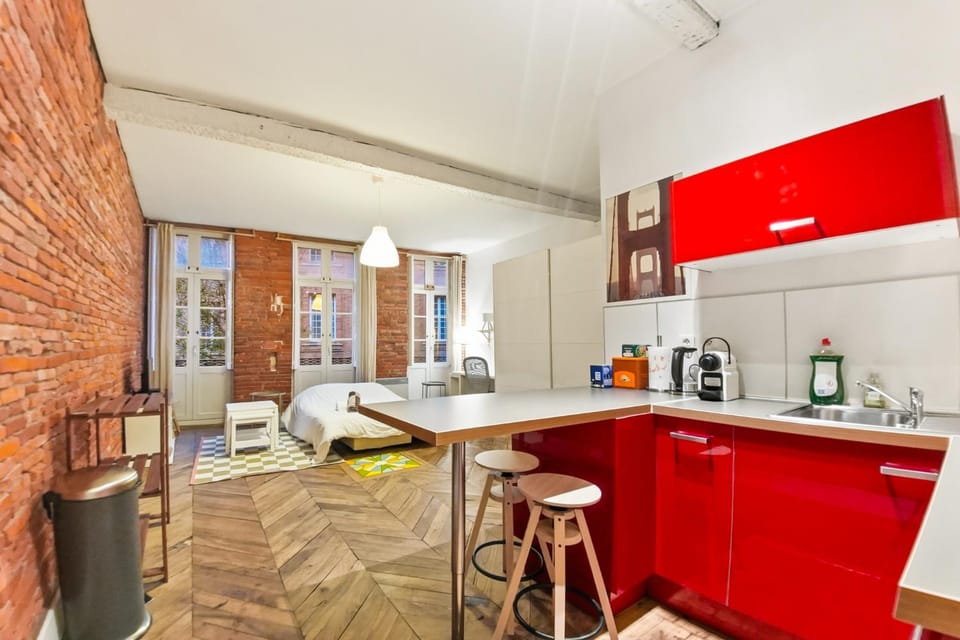 Le Studio Rose Gambetta Hypercentre Apartment in Toulouse