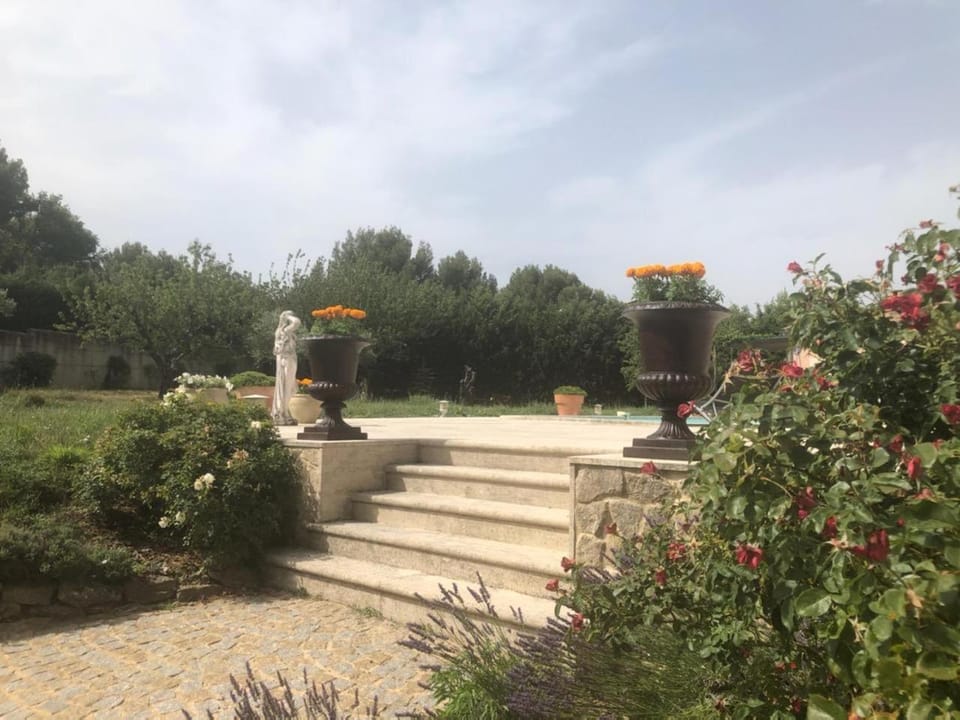 Spring, Day, Garden, Garden view
