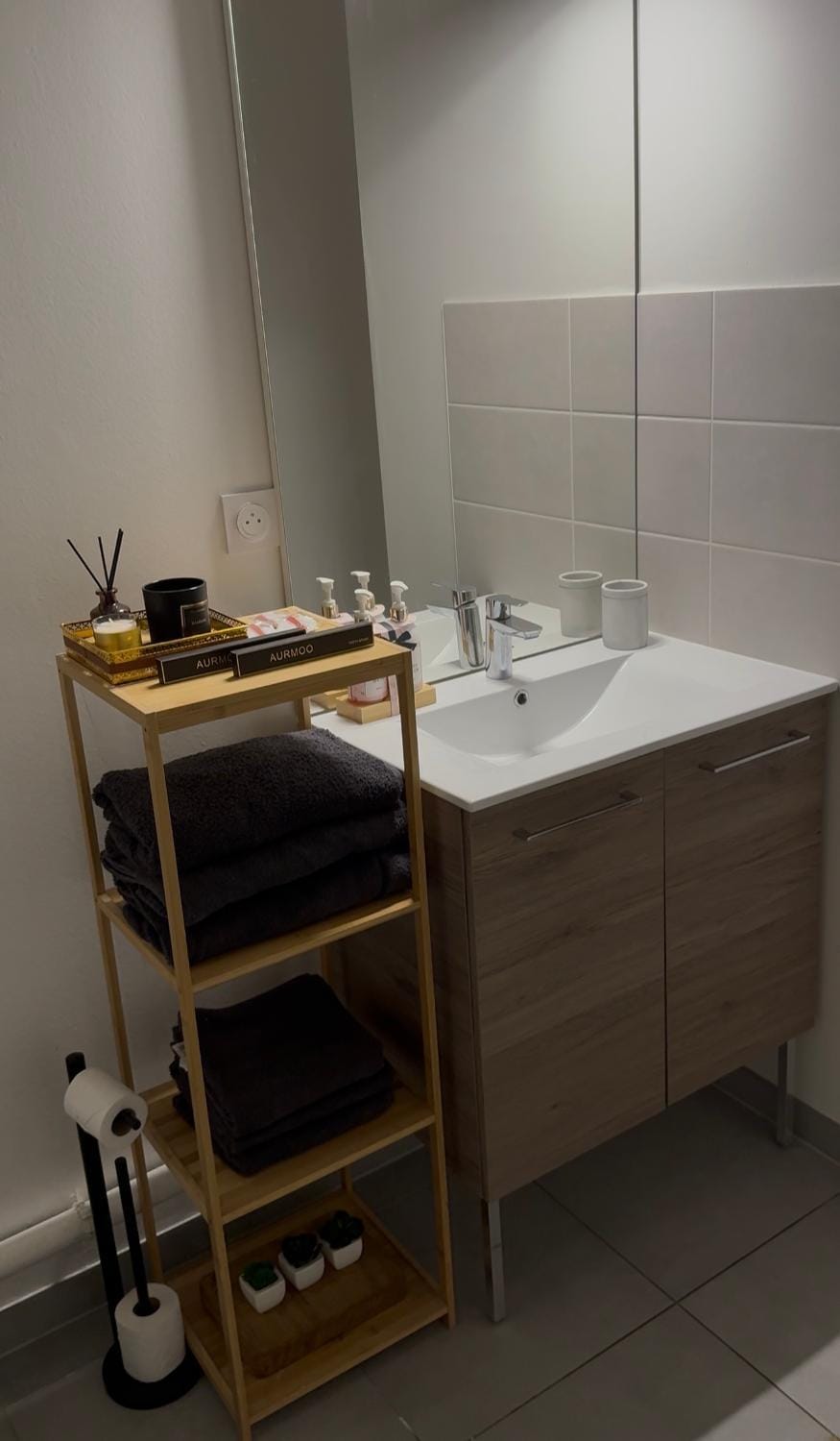 Beautiful Strasbourg apartment, 2 high standing rooms Apartment in Illkirch-Graffenstaden