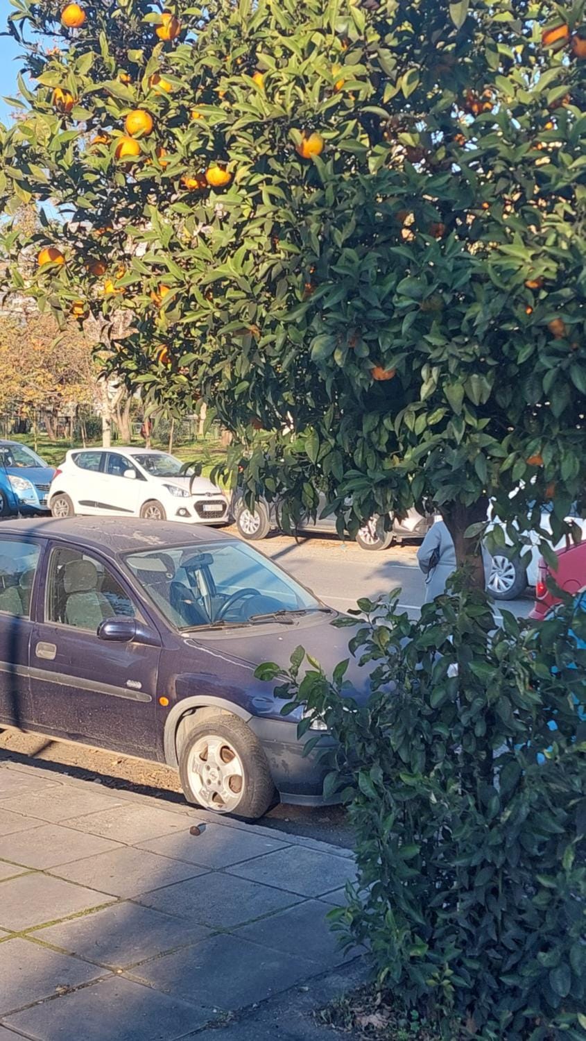 AMAZON low price Apartment in Thessaloniki